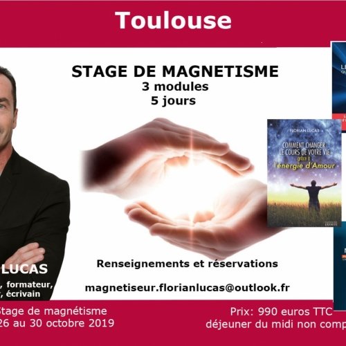 Formation Modules 1-2-3 magnétisme à Toulouse - Du 26 au 30 octobre 2019 Formation Modules 1-2-3 magnétisme à Toulouse - Du 26 au 30 octobre 2019